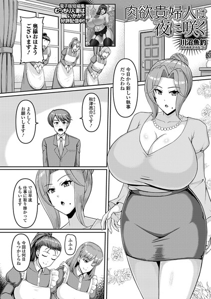[単話]肉欲貴婦人は夜に咲く（単話）（単話）｜川沼魚釣 評価