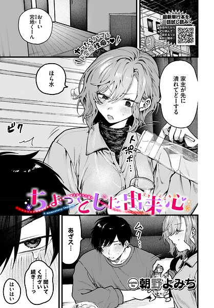 [羞恥]ちょっとした出来心（単話）｜朝野よみち 評価