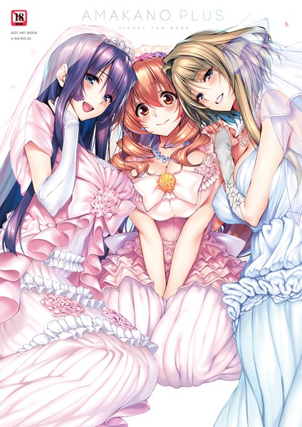 [単行本]アマカノ＋ ビジュアルファンブック｜ピロ水 評価5.00