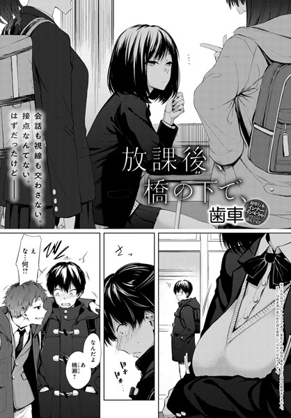 [単話]放課後、橋の下で、（単話）｜歯車 評価4.75