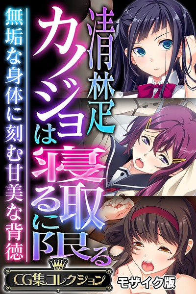 [フルカラー]清楚カノジョは寝取るに限る 〜無垢な身体に刻む甘美な背徳〜【CG集コレクション】 モザイク版｜大人のSEXY絵本 評価