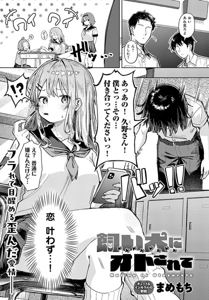 [単話]飼い犬にオトされて（単話）｜まめもち 評価3.80