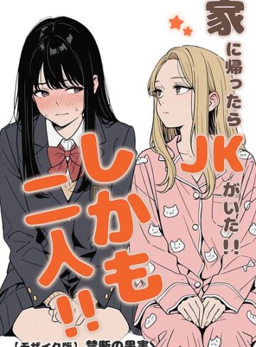 [単行本]家に帰ったらJKがいた！！しかも二人！！【モザイク版】｜禁断の果実 評価